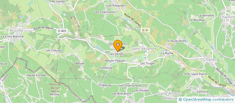 localisation de l'entreprise EARL DOMAINE BOULAY MICHEL à SAINT-VERAND