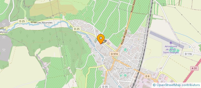 localisation de l'entreprise EARL DOMAINE CHEVILLON CHEZEAUX à NUITS-SAINT-GEORGES