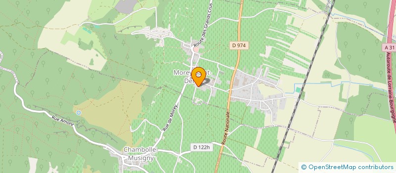 localisation de l'entreprise EARL DOMAINE JM SIMON à MOREY-SAINT-DENIS