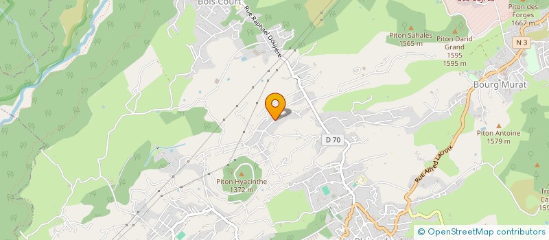 localisation de l'entreprise EARL DU BOIS COURT  LE TAMPON