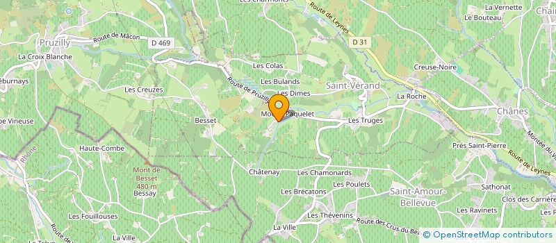 localisation de l'entreprise EARL DU DOMAINE DE FONTENAY à SAINT-VERAND