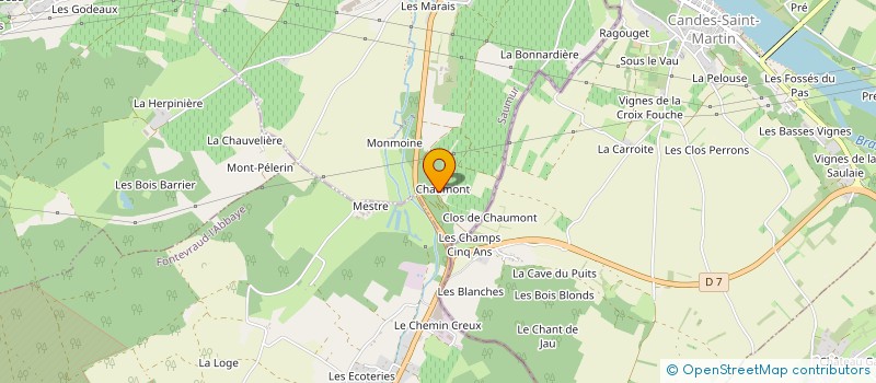 localisation de l'entreprise EARL DU DOMAINE DE L'OURS BLEU  MONTSOREAU