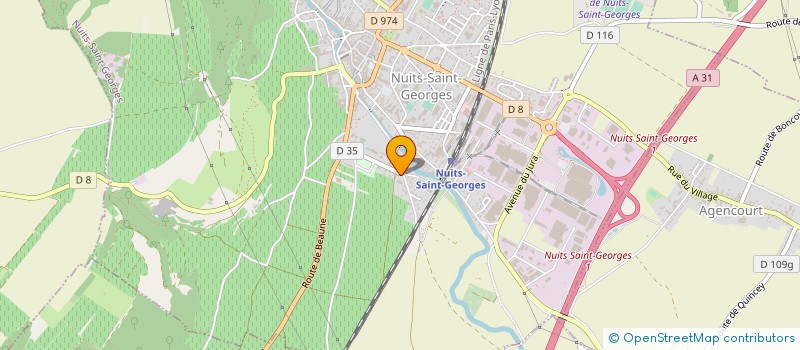 localisation de l'entreprise EARL DU DOMAINE JAFFLIN à NUITS-SAINT-GEORGES