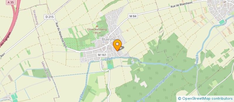 localisation de l'entreprise EARL GOOS FREDERIC  BLAESHEIM