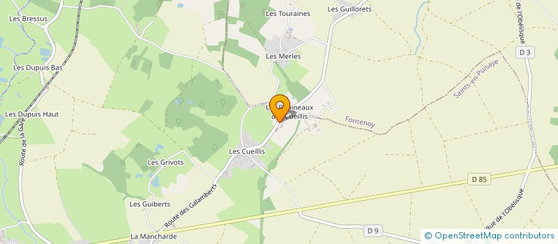 localisation de l'entreprise EARL GUITARD à SAINTS-EN-PUISAYE