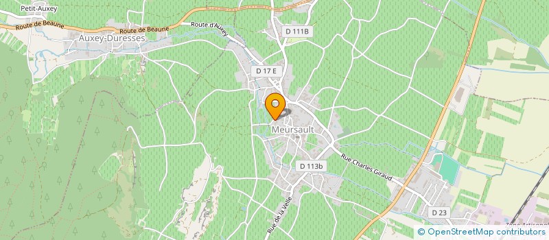 localisation de l'entreprise EARL JEAN MARIE BOUZEREAU  MEURSAULT