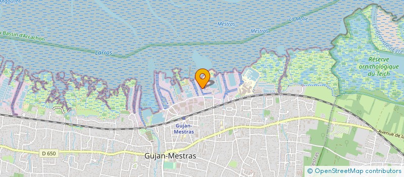 localisation de l'entreprise EARL LA NEBULEUSE  GUJAN-MESTRAS