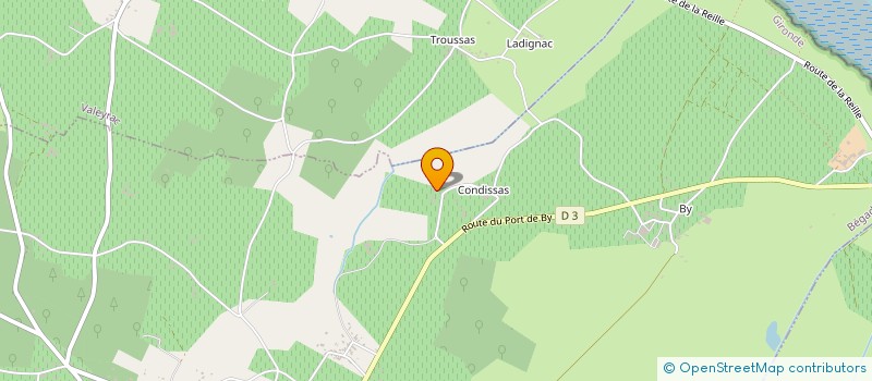 localisation de l'entreprise EARL LASSUS - LE REYSSE  BEGADAN