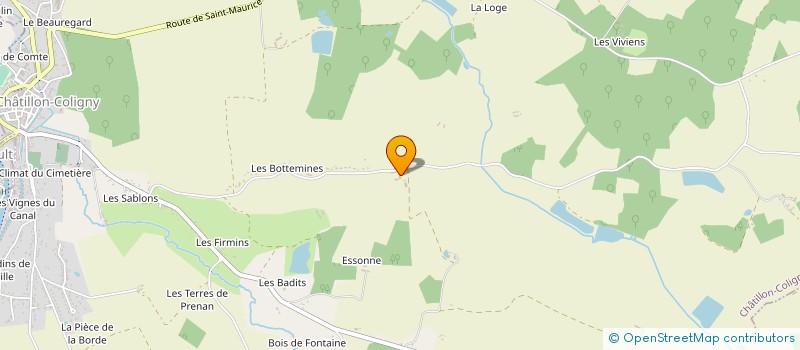 localisation de l'entreprise EARL LES AUDENETS à CHATILLON-COLIGNY