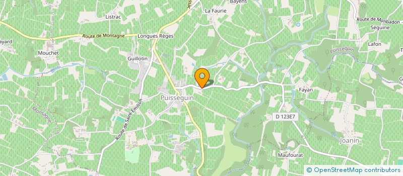 localisation de l'entreprise EARL ROBIN DES VINS  PUISSEGUIN