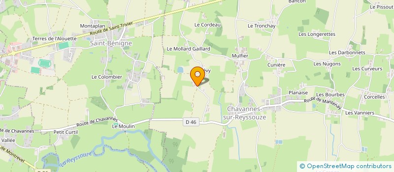 localisation de l'entreprise EARL ROBIN FRERES à CHAVANNES-SUR-REYSSOUZE