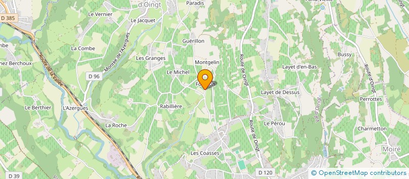 localisation de l'entreprise EARL VIGNOBLE DES PIERRES DOREES  VAL D'OINGT