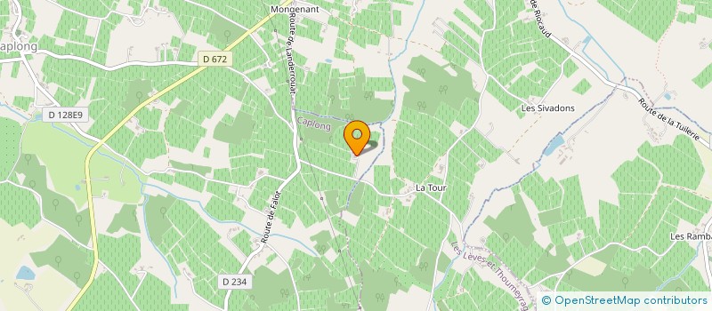 localisation de l'entreprise EARL VIGNOBLES MAGALI VERITE  CAPLONG