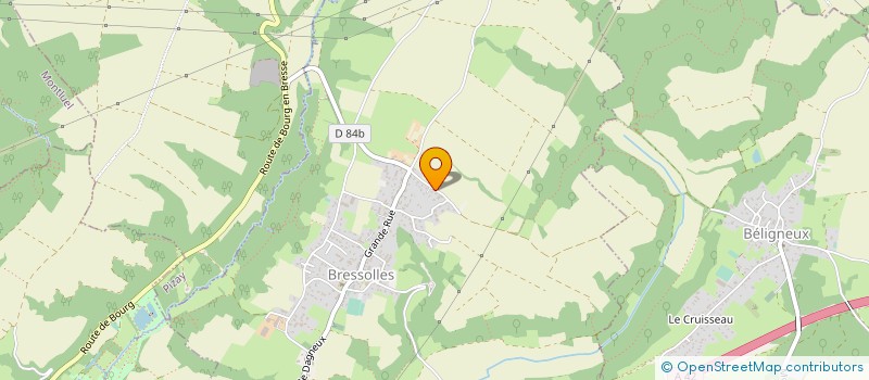 localisation de l'entreprise EASY FLUIDES à BRESSOLLES