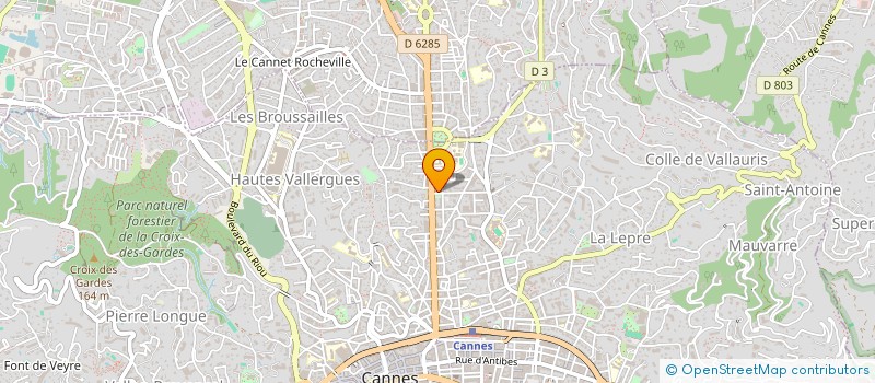 localisation de l'entreprise ECHO CONSULTING SERVICES  CANNES