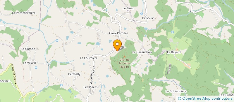 localisation de l'entreprise ECHO DE LA MONTAGNE  SAINT MARTIN EN HAUT