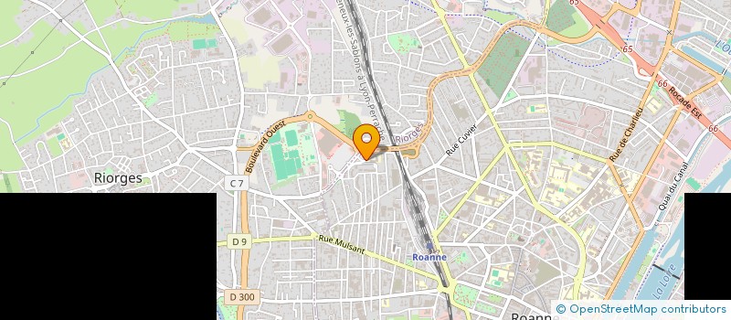 localisation de l'entreprise ECHO INVESTISSEMENTS à ROANNE