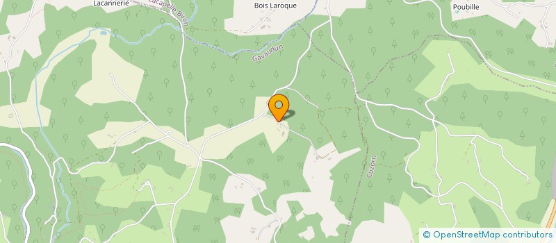 localisation de l'entreprise ECHO TEAM  GAVAUDUN