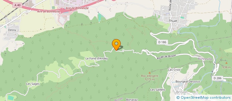 localisation de l'entreprise ECOLE D'ACCORDEON DE BONNEVILLE ET DE LA VALLEE DE L'ARVE  BONNEVILLE