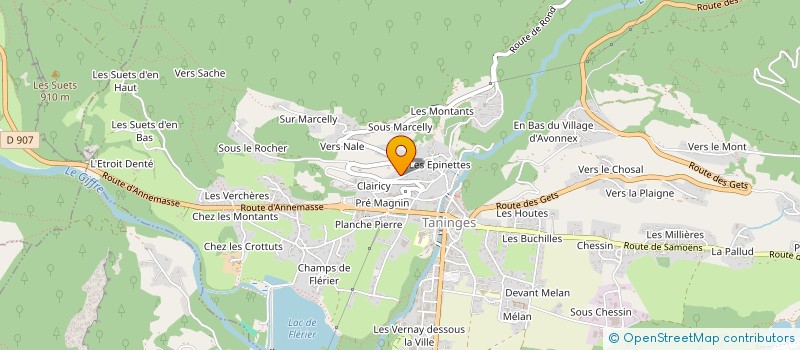 localisation de l'entreprise ECOLE DES ACTIVITES DE LA MONTAGNE  TANINGES