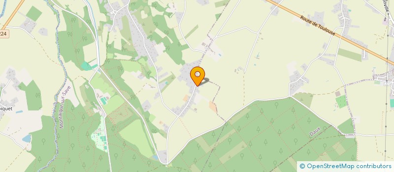 localisation de l'entreprise ECOLE DU COBRA THIEU LAM AMVM  MONTAIGUT-SUR-SAVE