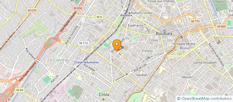 localisation de l'entreprise ECOMUSEE LIETART - PEIGNES ET BROSSES EN TOUS GENRES à ROUBAIX