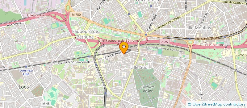 localisation de l'entreprise ECOURTOIS à LILLE