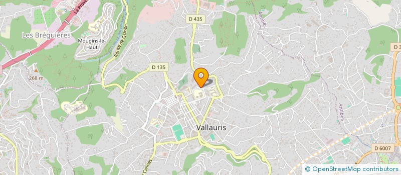 localisation de l'entreprise ECR RENOVATION à VALLAURIS