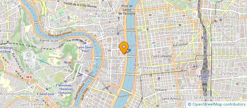 localisation de l'entreprise ECS EUROPA CONSEIL SERVICE  LYON