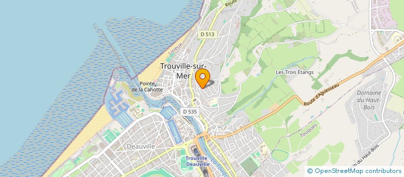 localisation de l'entreprise ECURIE GIANNI FASCELLA à TROUVILLE-SUR-MER