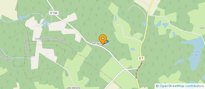 localisation de l'entreprise ECURIE GRIFF  SAINT-SAUVEUR-EN-PUISAYE