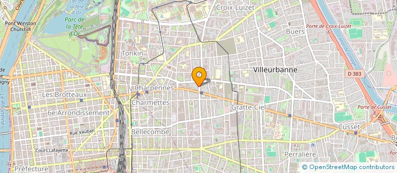 localisation de l'entreprise EDEN CRIQUE  VILLEURBANNE