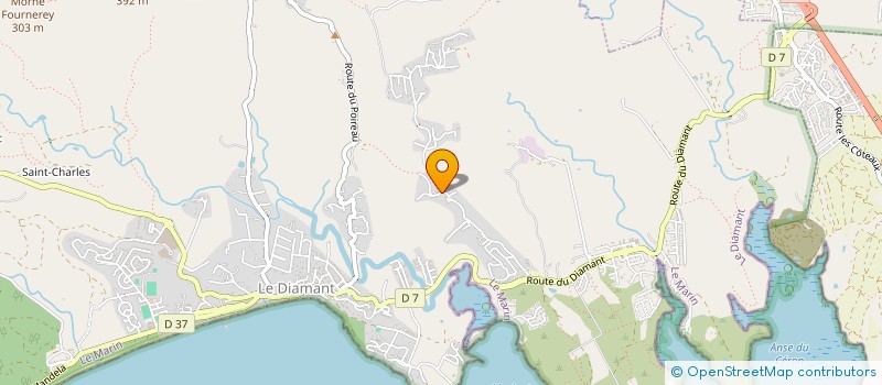 localisation de l'entreprise EDERPRESS  DIAMANT