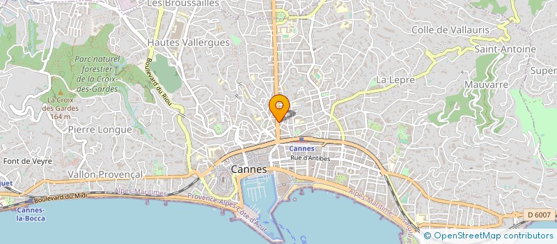 localisation de l'entreprise EDITIONS DU SANGLIER à CANNES