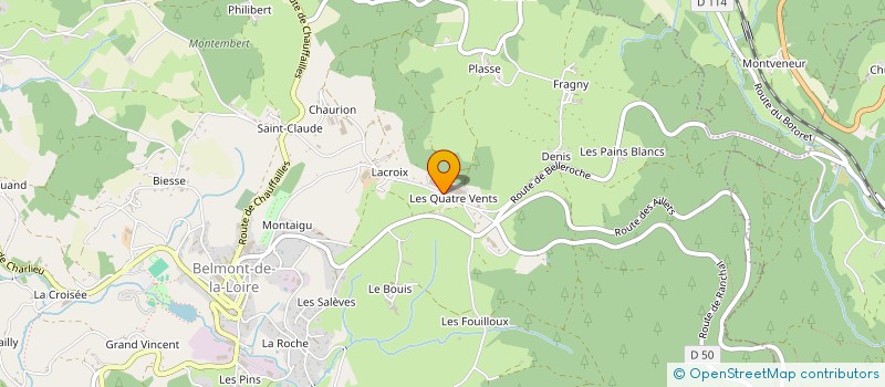 localisation de l'entreprise EDITIONS REPUBLICAINES ET POPULAIRES DU ROANNAIS  BELMONT-DE-LA-LOIRE