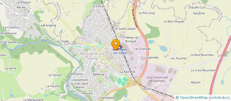 localisation de l'entreprise EDV85  MORTAGNE-SUR-SEVRE