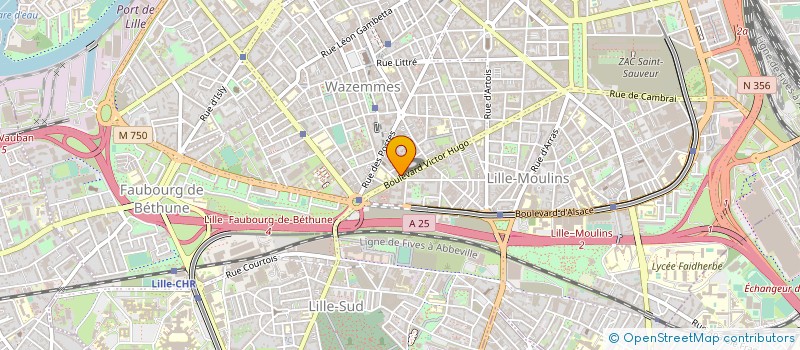 localisation de l'entreprise EFFICACITE PROPRETE SERVICES à LILLE
