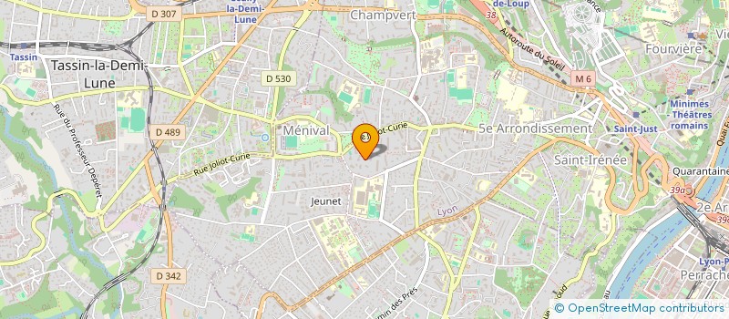 localisation de l'entreprise EFFICIENDI à LYON