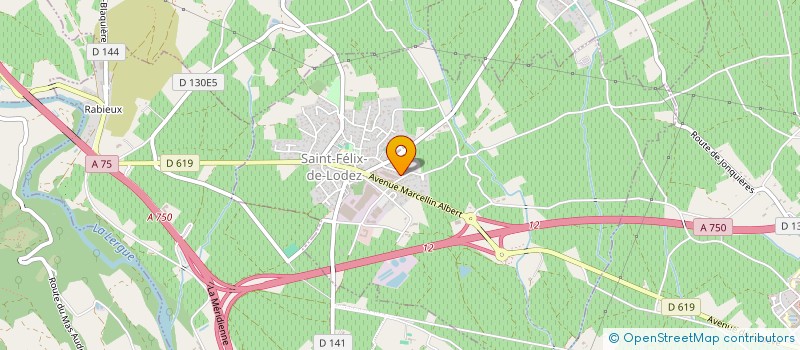 localisation de l'entreprise EFFICIENT TELECOM  SAINT-FELIX-DE-LODEZ