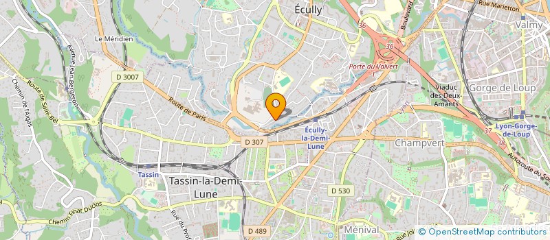 localisation de l'entreprise EFFICOST  ECULLY