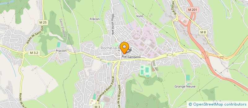 localisation de l'entreprise EFFRASTOP à ROCHE-LA-MOLIERE