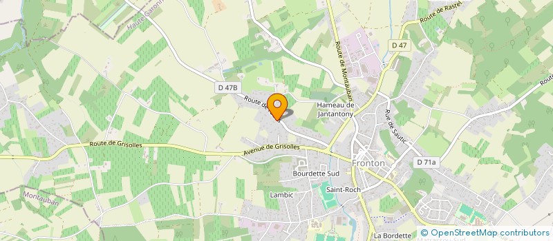 localisation de l'entreprise EGOGA  FRONTON