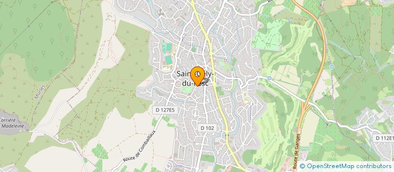 localisation de l'entreprise EHPAD BELLE VISTE  SAINT-GELY-DU-FESC