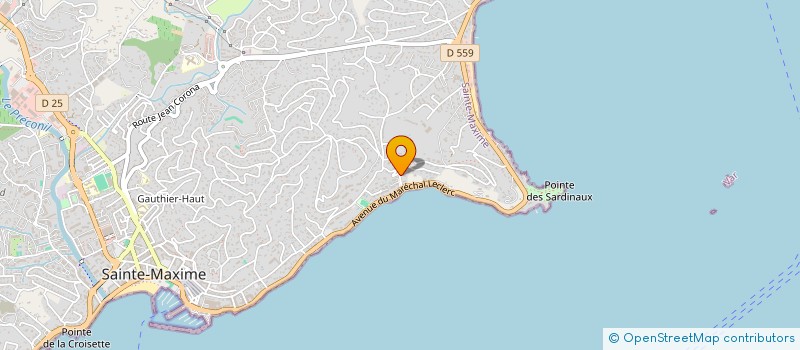 localisation de l'entreprise EILAT COURTAGE, FINANCE, PLACEMENT ET CONSEIL  SAINTE-MAXIME