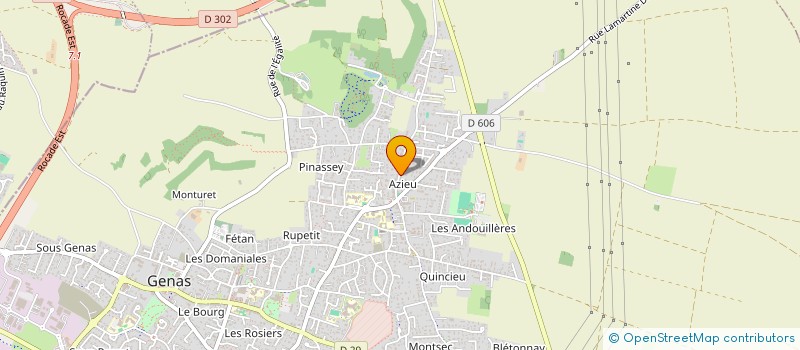 localisation de l'entreprise EIMES IMMO  GENAS