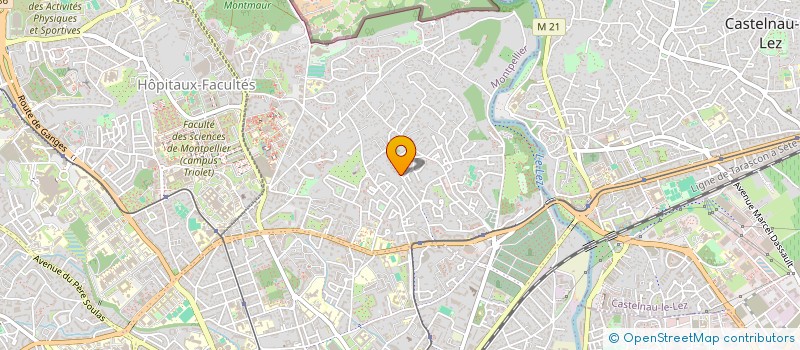 localisation de l'entreprise EINHORN à MONTPELLIER