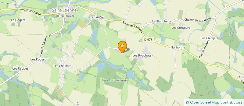 localisation de l'entreprise ELAGAGES SERVICES à SAINT-ETIENNE-EN-BRESSE