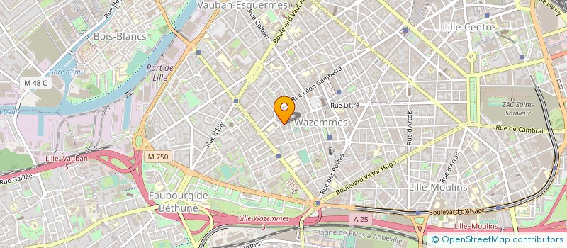 localisation de l'entreprise ELAMANE à LILLE