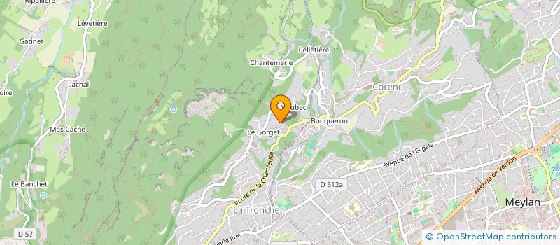 localisation de l'entreprise ELAN  LA TRONCHE