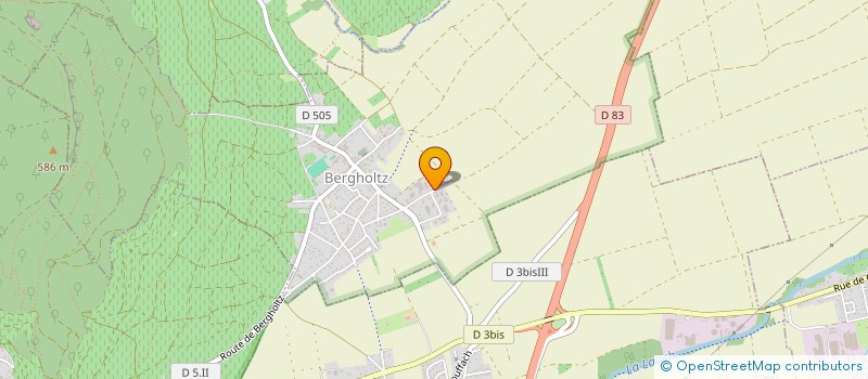 localisation de l'entreprise ELAN C'EST VOUS  BERGHOLTZ